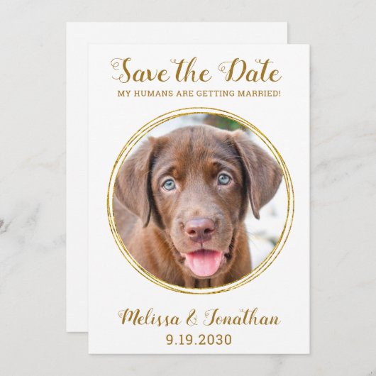 Elegant Chic Gold Custom Pet Photo Dog Weddenschap Save The Date (Voorkant / Achterkant)