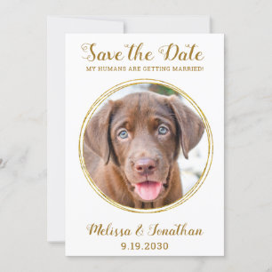 Elegant Chic Gold Custom Pet Photo Dog Weddenschap Save The Date