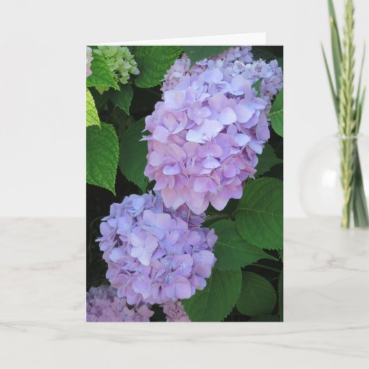 Elegant Chic Paars Hydrangeas Photo Sympathie Kaart (Voorkant)