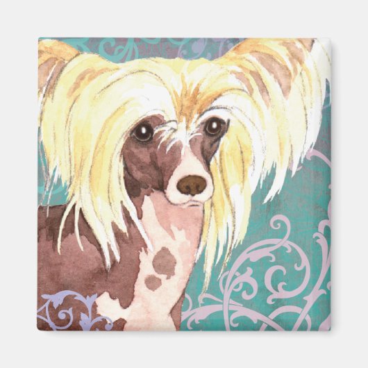 Elegant Chinese Crested Magneet (Voorkant)