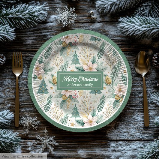 Elegant Christmas Paper & Party Plates Sage Gold Papieren Bordje