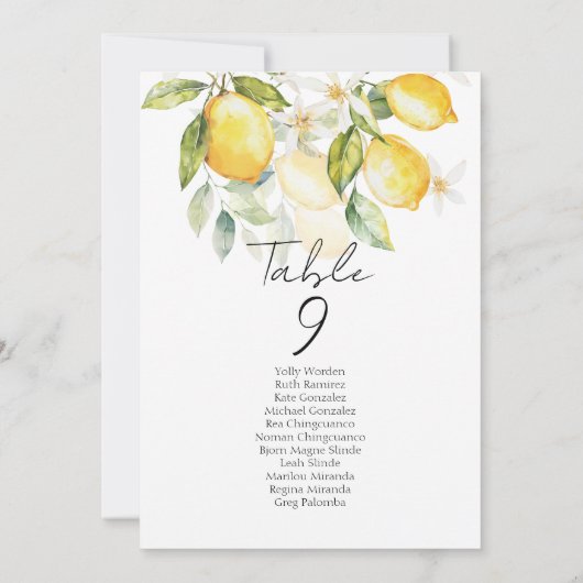 Elegant citrus table number seating chart cards (Achterkant)