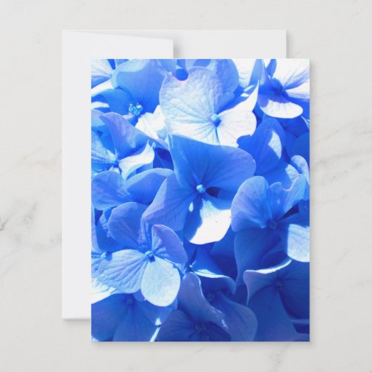 Elegant cobalt blue floral elegant blue hydrangea  save the date (Achterkant)