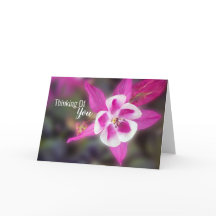 Elegant Columbine roze denken aan jou