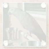 Elegant Congo African Grey Parrot op standaard Glazen Onderzetter (Achterkant)