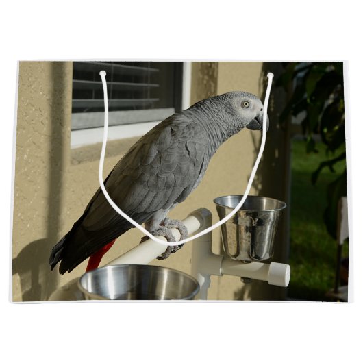 Elegant Congo African Grey Parrot op standaard Groot Cadeauzakje (Voorkant)