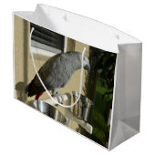 Elegant Congo African Grey Parrot op standaard Groot Cadeauzakje (Achterkant Gekanteld)