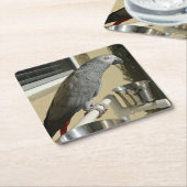 Elegant Congo African Grey Parrot op standaard Kartonnen Onderzetters (Schuin)