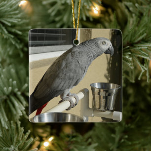Elegant Congo African Grey Parrot op standaard Keramisch Ornament