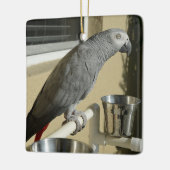 Elegant Congo African Grey Parrot op standaard Keramisch Ornament (Links)