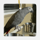 Elegant Congo African Grey Parrot op standaard Keramisch Ornament (Voorkant)