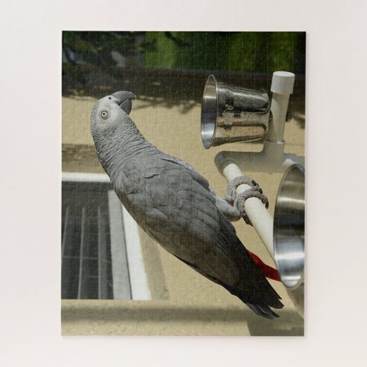 Elegant Congo African Grey Parrot op standaard Legpuzzel (Verticaal)