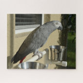 Elegant Congo African Grey Parrot op standaard Legpuzzel (Horizontaal)