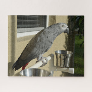 Elegant Congo African Grey Parrot op standaard Legpuzzel