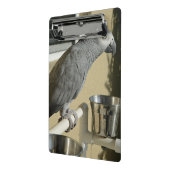 Elegant Congo African Grey Parrot op standaard Mini Klembord (Angled2)