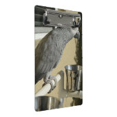Elegant Congo African Grey Parrot op standaard Mini Klembord (Schuin)