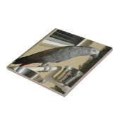 Elegant Congo African Grey Parrot op standaard Tegeltje (Zijkant)