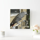 Elegant Congo African Grey Parrot op standaard Vierkante Klok (Huis)