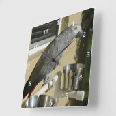 Elegant Congo African Grey Parrot op standaard Vierkante Klok (Hoek)