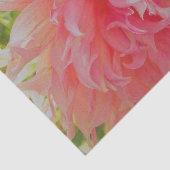 Elegant Coral and Pink Decorative Dahlia Tissuepapier (Detail)