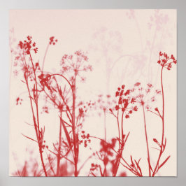 Elegant Coral Red Floral Abstract Poster