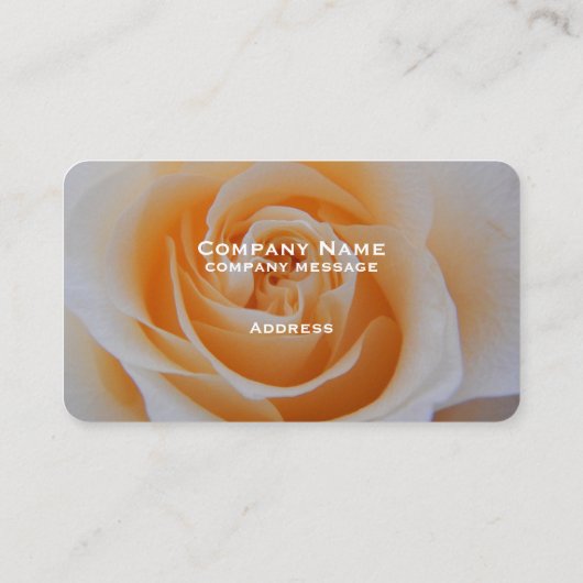 Elegant Coral Roos Visitekaartje (Achterkant)