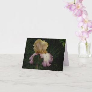 Elegant Cream Paars Iris Floral Foto Kaart