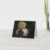 Elegant Cream Paars Iris Floral Foto Kaart (Voorkant)