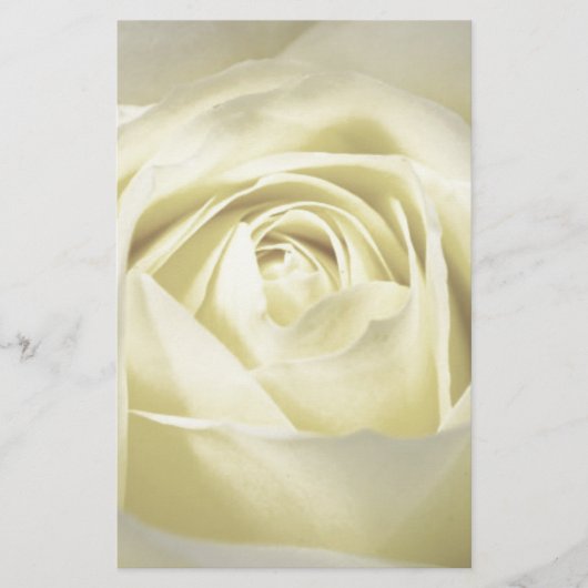 Elegant Cream Roos Briefpapier (Voorkant)