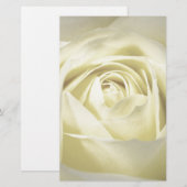 Elegant Cream Roos Briefpapier (Voorkant / Achterkant)