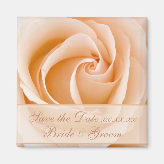 Elegant Cream Rose Save The Date Magnet (Voorkant)
