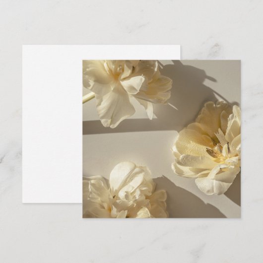 Elegant Cream Tulips in warm light, Bedankkaart (Voorkant / Achterkant)