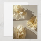 Elegant Cream Tulips in warm light,  Bedankkaart (Voorkant / Achterkant)