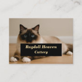 Elegant Custom Ragdoll Cat Cattery Business Card  Visitekaartje (Voorkant)