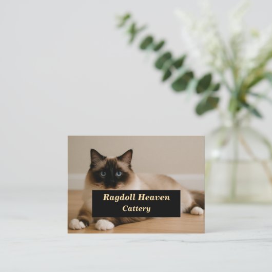 Elegant Custom Ragdoll Cat Cattery Business Card  Visitekaartje (Staand voorkant)