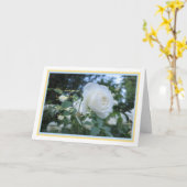 Elegant Daisy Flower Thinking of You Sympathokaart Kaart (Gele Bloem)