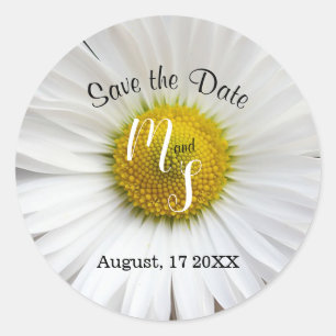 Elegant Daisy Ronde Sticker