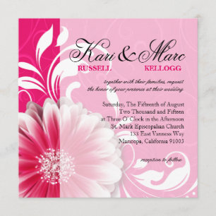 Elegant Daisy Scroll Flourish fuchsia Kaart