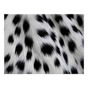 Elegant Dalmatisch Nepvachtpatroon Perfect Poster