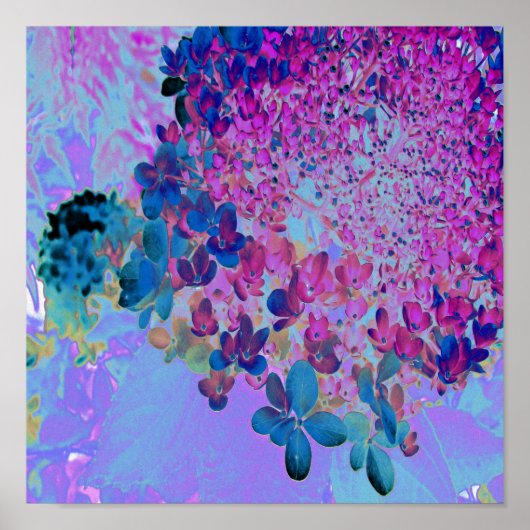 Elegant Dark Blue en Magenta Limelight Hydrangea Poster (Voorkant)