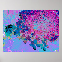 Elegant Dark Blue en Magenta Limelight Hydrangea Poster