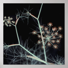 Elegant Dark Floral Abstract Poster