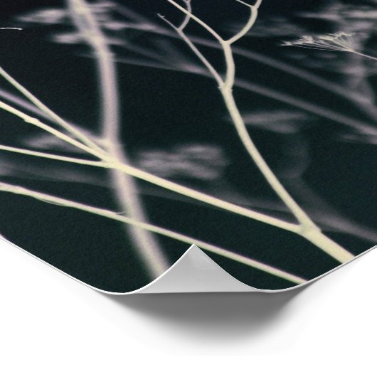 Elegant Dark Floral Abstract Poster (Hoek)