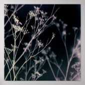 Elegant Dark Floral Abstract Poster (Voorkant)