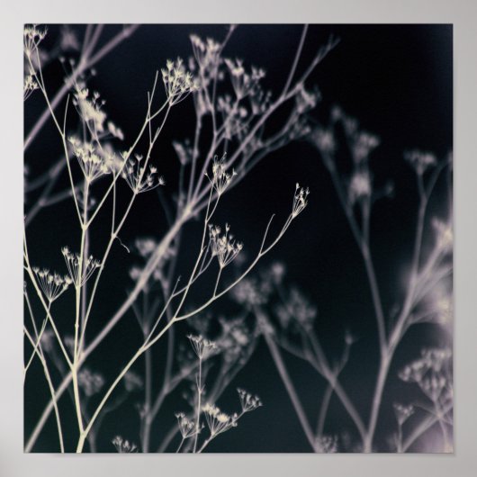 Elegant Dark Floral Abstract Poster (Voorkant)