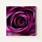 Elegant Dark Purple Rose Notitieboek (Achterkant)