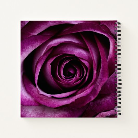 Elegant Dark Purple Rose Notitieboek (Achterkant)