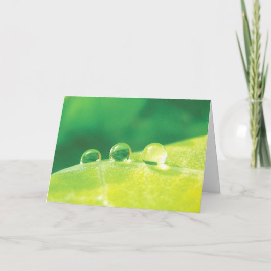 Elegant, dauwdruppels, verhalen in Natuur poëzie Kaart (Voorkant)