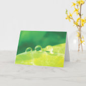 Elegant, dauwdruppels, verhalen in Natuur poëzie Kaart (Gele Bloem)
