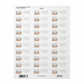 Elegant Denver Colorado Skyline Waterverf Adres Etiket (Full Sheet)